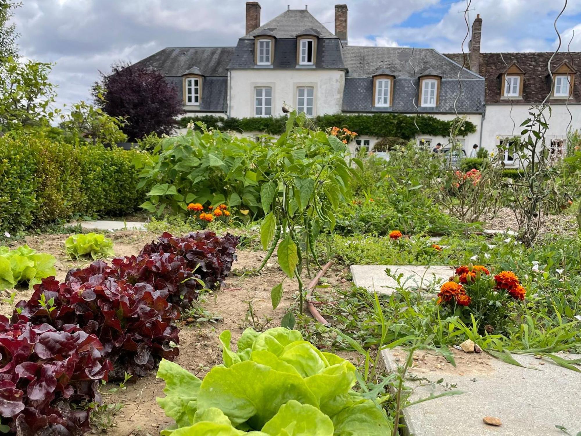 Maison De Famille Pres De Montargis - Elegance Et Confort En Foret - Fr-1-590-354 Paucourt Esterno foto